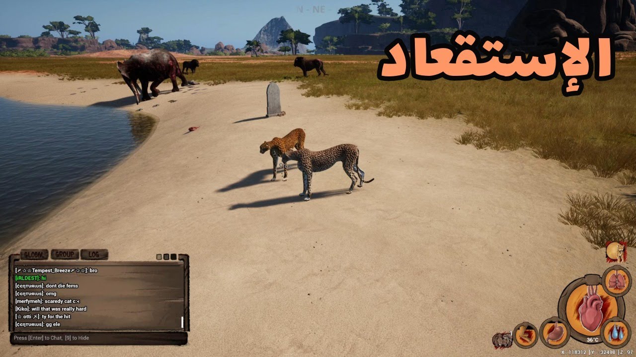 انيميليا سرفايفل I حياة الفهد #27  Iالإستقعاد Animalia Survival I