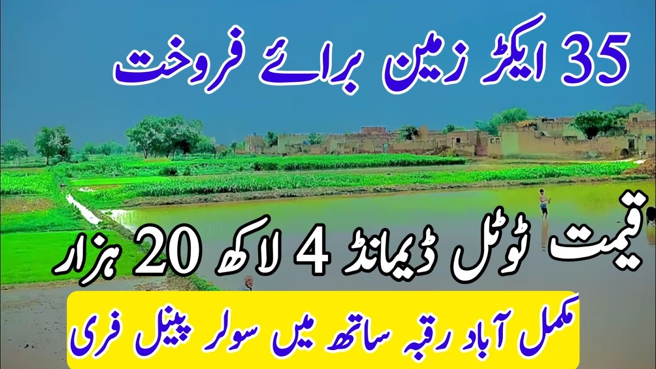 #agriculture land for sale in Punjab Pakistan | zameen for sale | land for sale