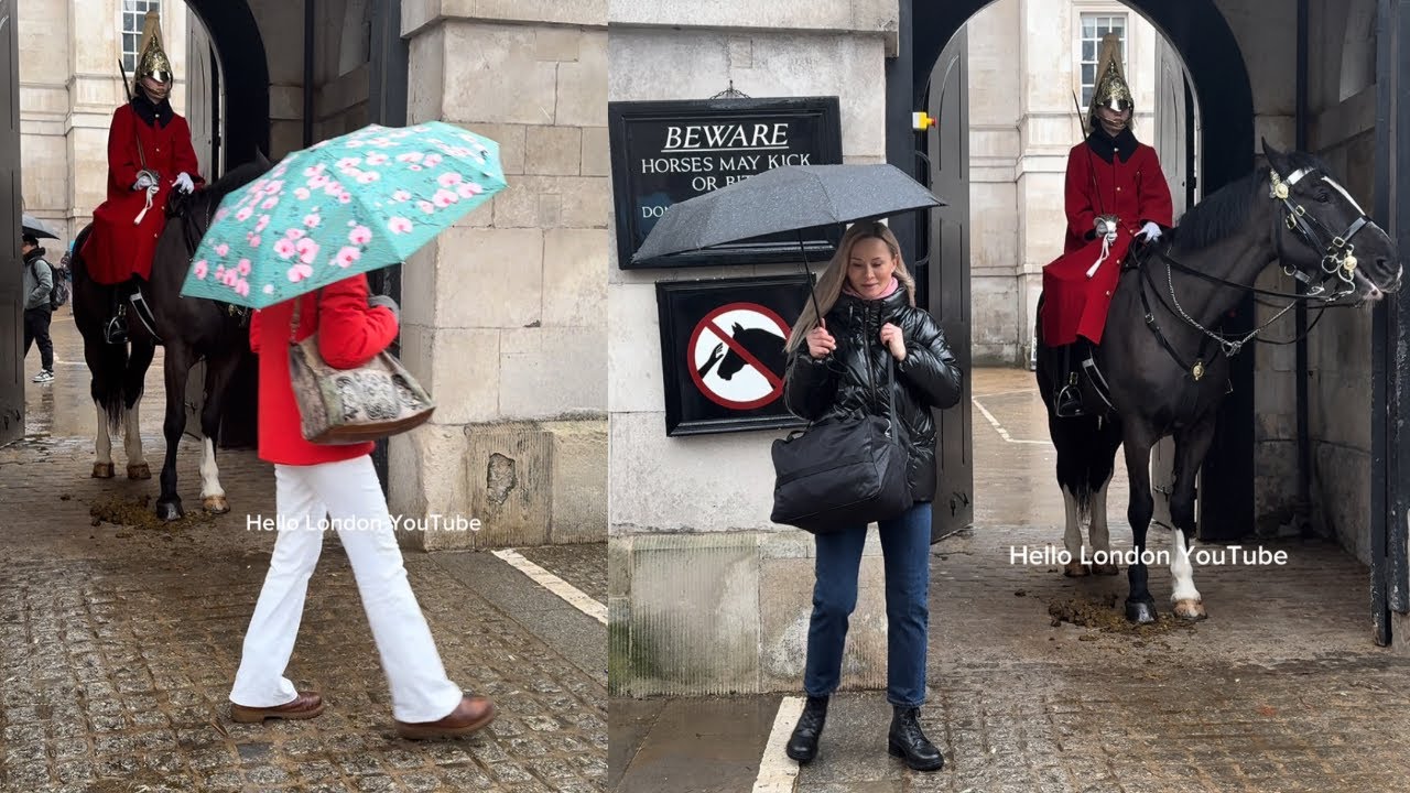 Tourists Break the rules and enter the restricted 🚫 box. 