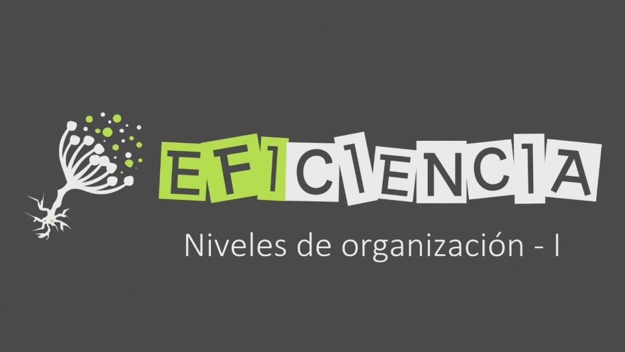 SERES VIVOS: NIVELES DE ORGANIZACI&Oacute;N - I. Orden y Coste Energ&eacute;tico