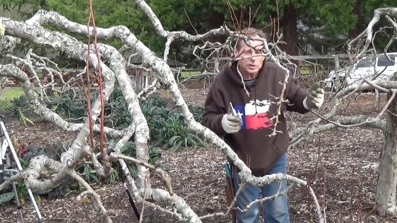 The Art Of Pruning Back To Eden Garden L2Survive with Thatnub
