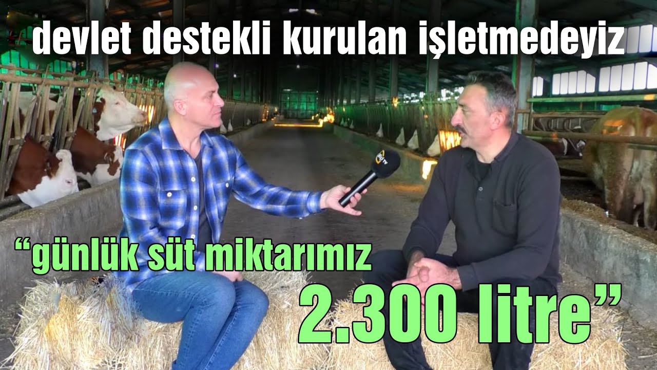 Devlet Destekli Kurulan İşletmedeyiz / “Günlük Süt Miktarımız 2.300 Litre” - Harman Yeri