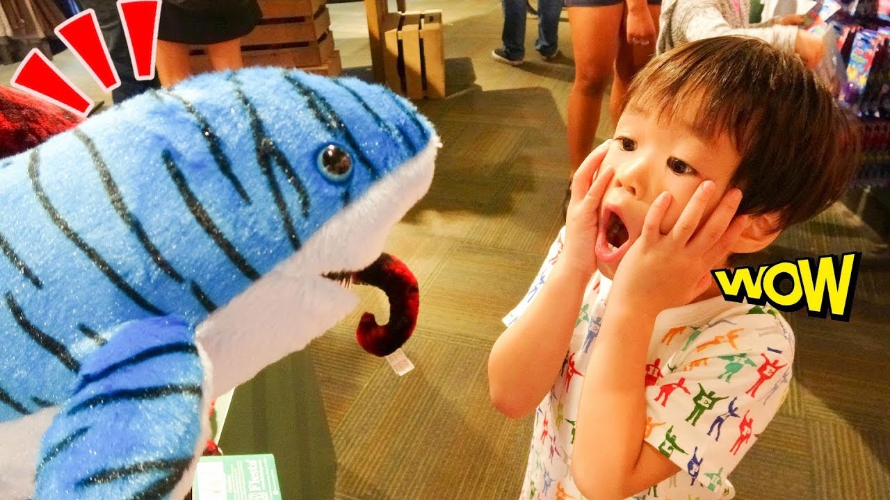 おでかけ Seattle Aquariumシアトル水族館へ行ったよ！ レオスマイル