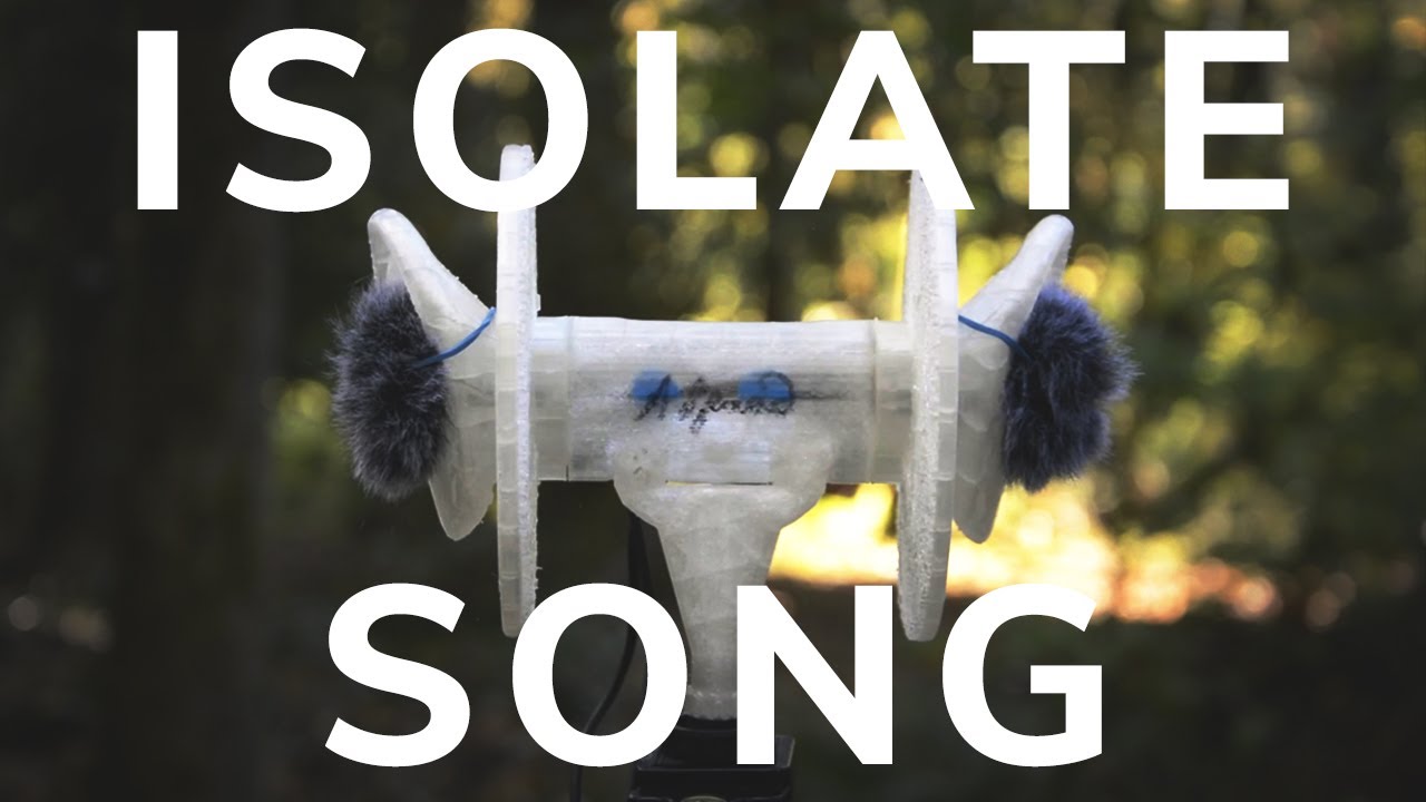 ISOLATE SONG - Synthetic Birdsong Audio Installation | Max Krien