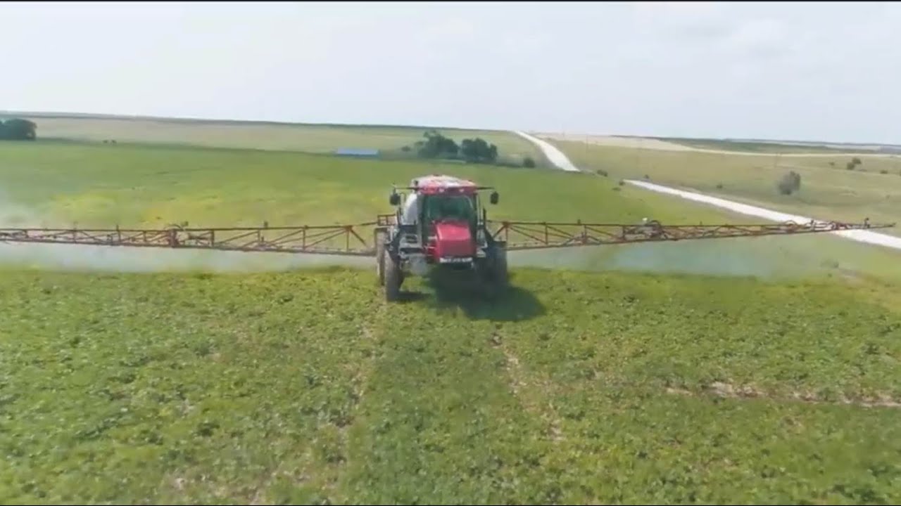 AgroVitrine: Basf apresenta novo fungicida para cultura da soja