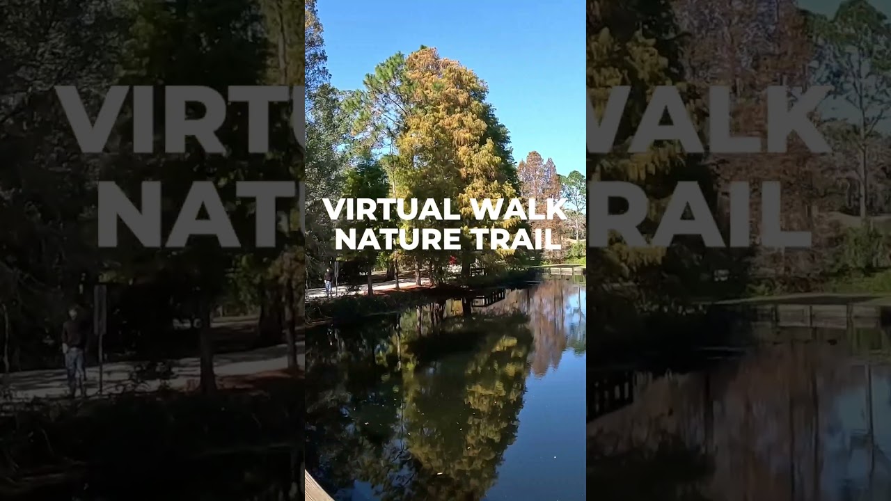 Virtual Walk Video For Treadmill | Calm Nature Walk