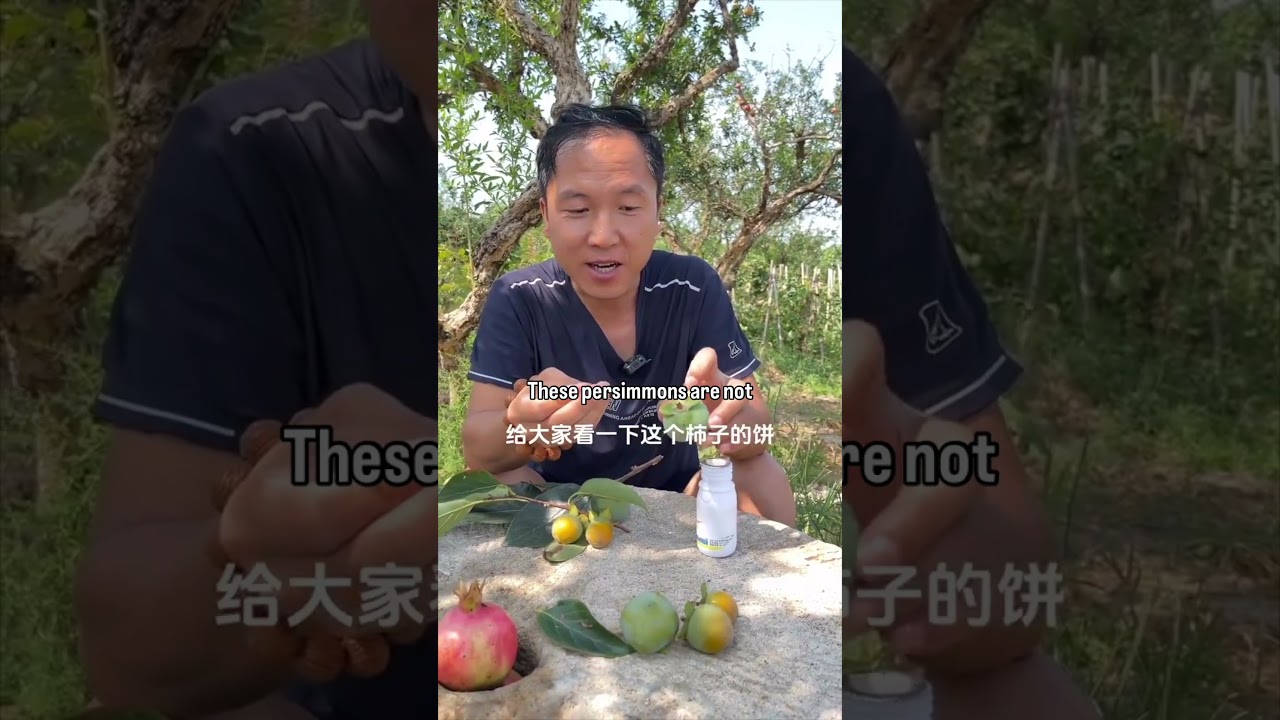 China fakes everything 31