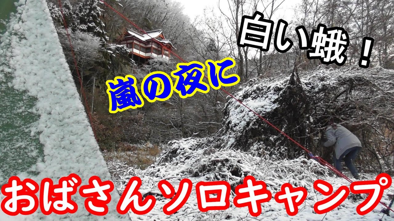 【おばさんソロキャンプ】101  サイトを開拓！ 天気は予報通りだった...。 だけど白い蛾は生きている！　唐松観音広場