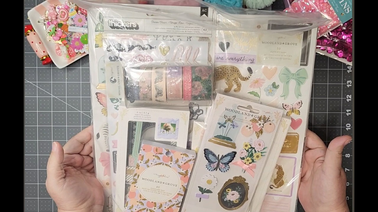 See What I Won!!! from @tinascraftcreations 
