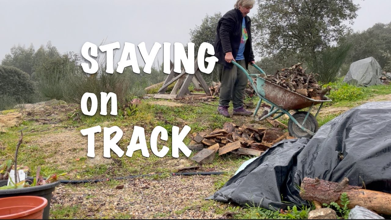STAYING ON TRACK / OFF-GRID HOMESTEAD