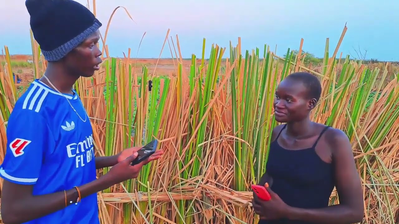 Kulekep vs Sign Tier and Stella 