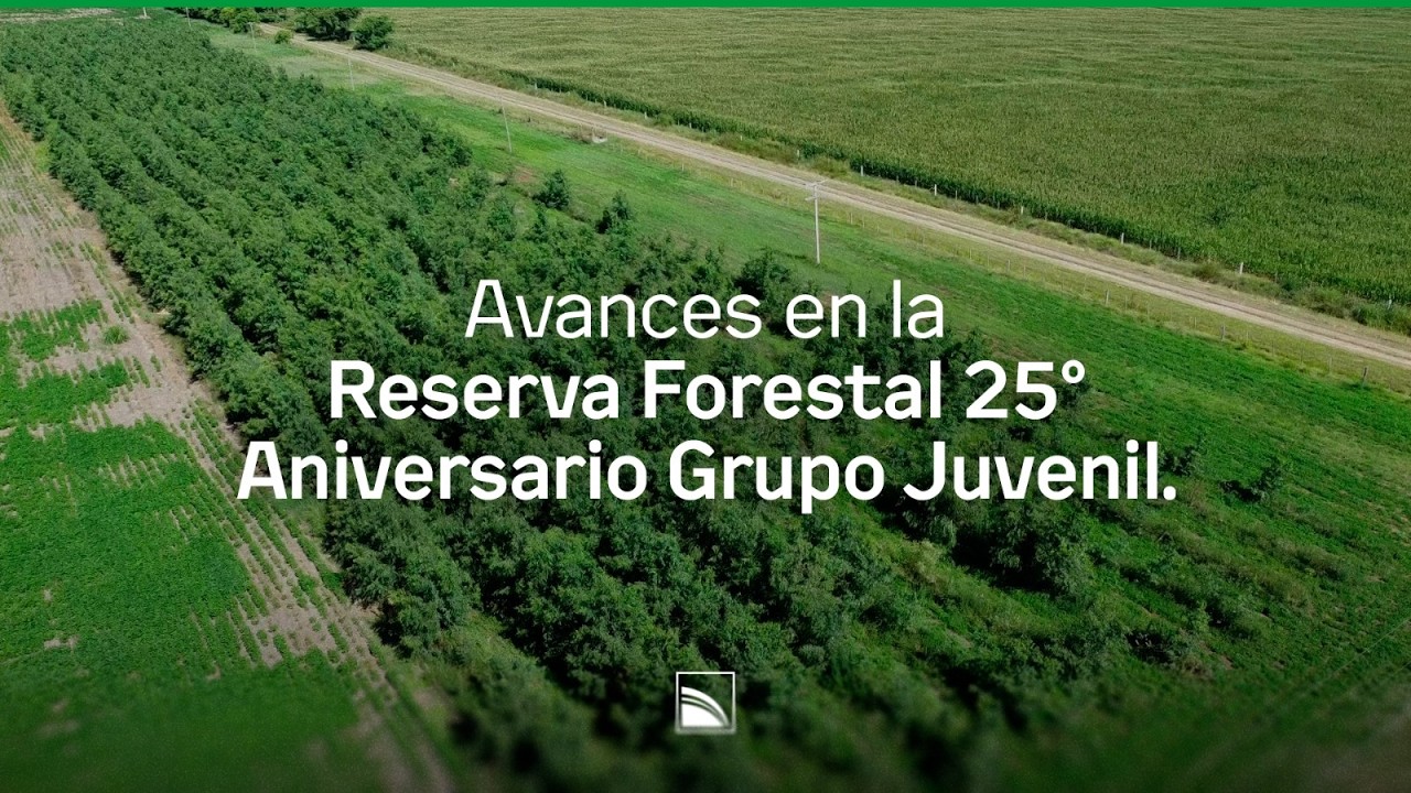 Avances Reserva 25° Aniversario Grupo Juvenil