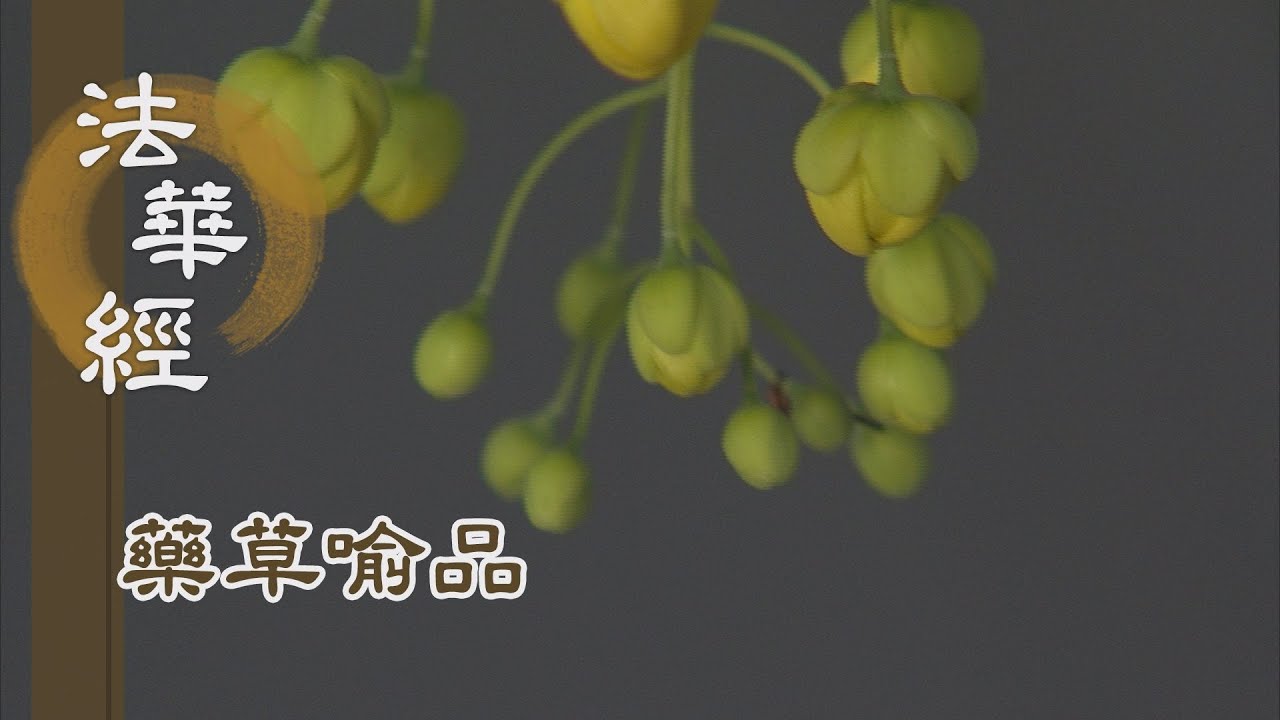 【靜思妙蓮華】法華經藥草喻品 - 破有法王 出現世間 - 20210713 第896集