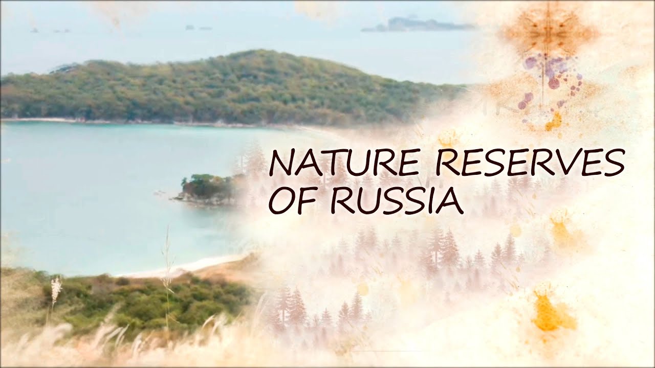 Secrets of the Kedrovaya Pad Nature Reserve. Nature reserves of Russia