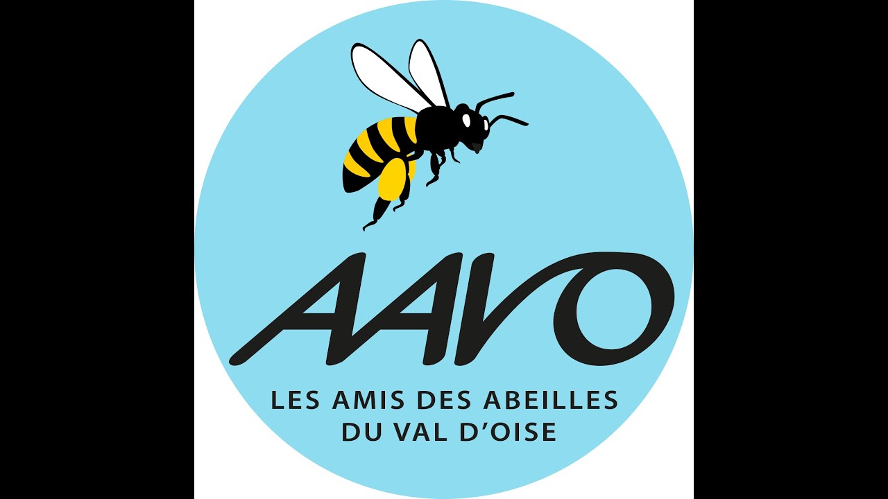 L'AAVO et la lutte contre le frelon asiatique (partie 2)