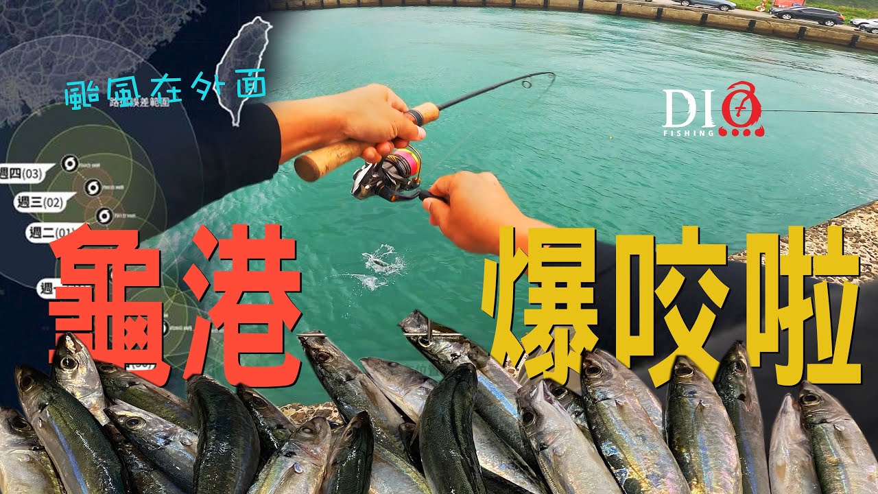 探索✅釣點－和美漁港竹莢魚咬到爆桶 🐟 Shimano Cardiff NX S48UL-4 🐟東北角釣點🐟 DIO魚Fishing －竹莢魚 鯖魚 肉鰛魚 肉塭仔