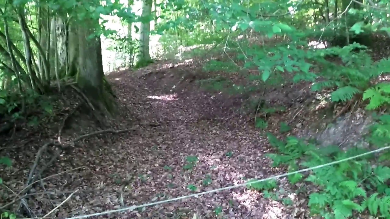 Suche nach alten Wegen im Wald mit moderner Karte
