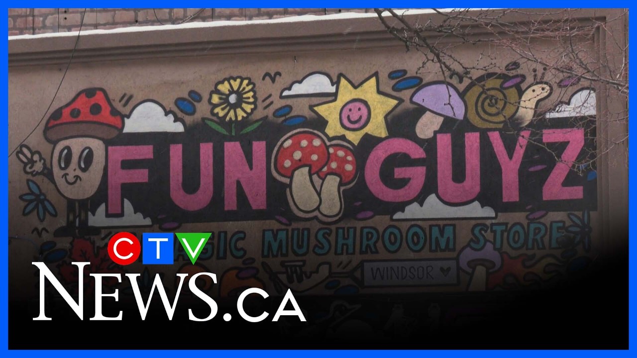 Windsor magic mushroom store closing after crystal meth seized