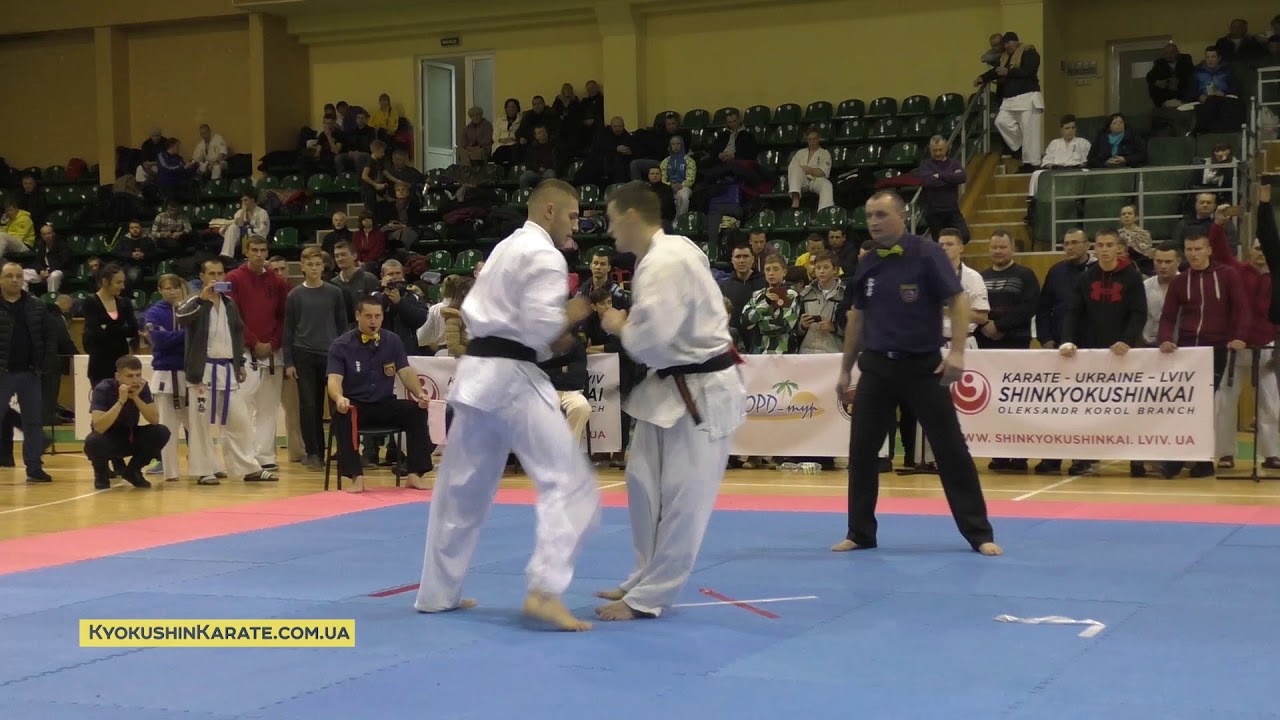 WKO Ukraine Cup 2017 - Final -85 Tymets Alexandr (Khemlnitskiy, aka) - Krasota Yurii (Zolochev)