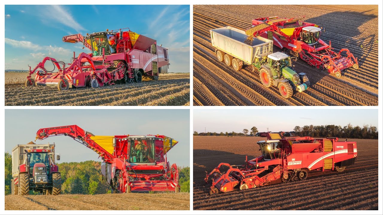 Kartoffelernte im Sonnenuntergang | GRIMME Tectron 410 | Fendt 820 Vario TMS | Case CVX 1170
