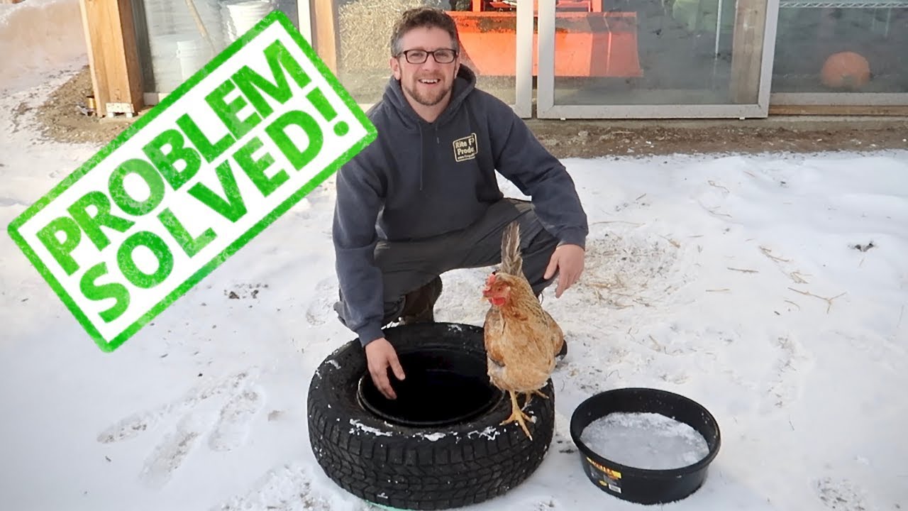 Keeping Water From Freezing (Solved) Testing our new Winter  Waterers