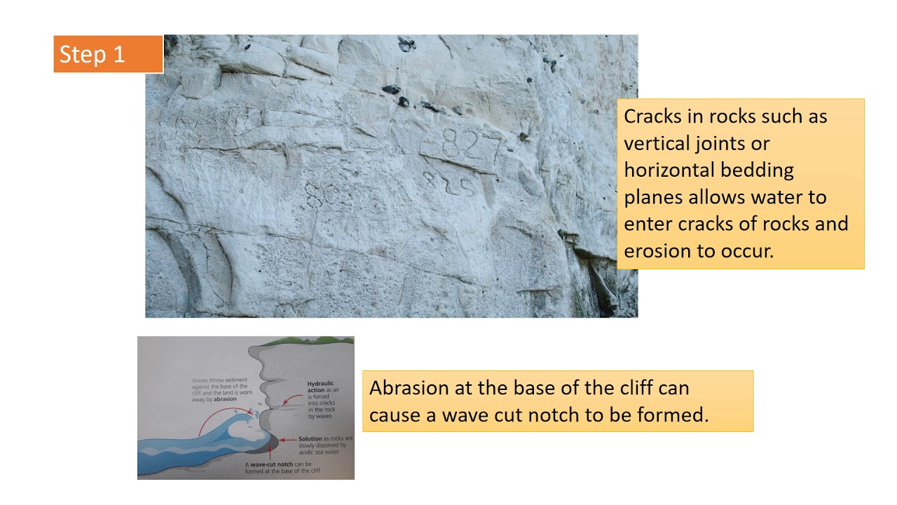 Distinctive Landscapes case study: Coastal Landforms- Old Harry rocks