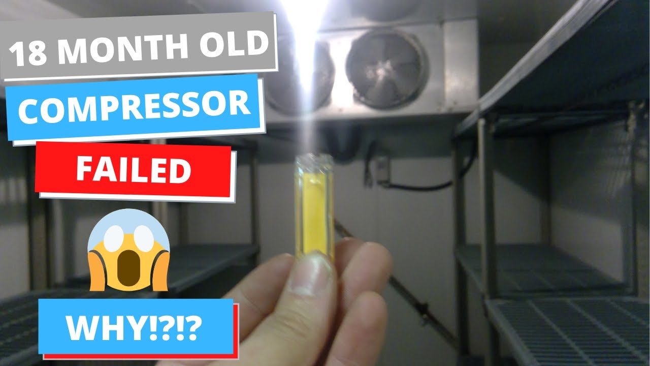 Walk In Freezer 18 Month Old Compressor IS BLOWN... WHY?!?!?!