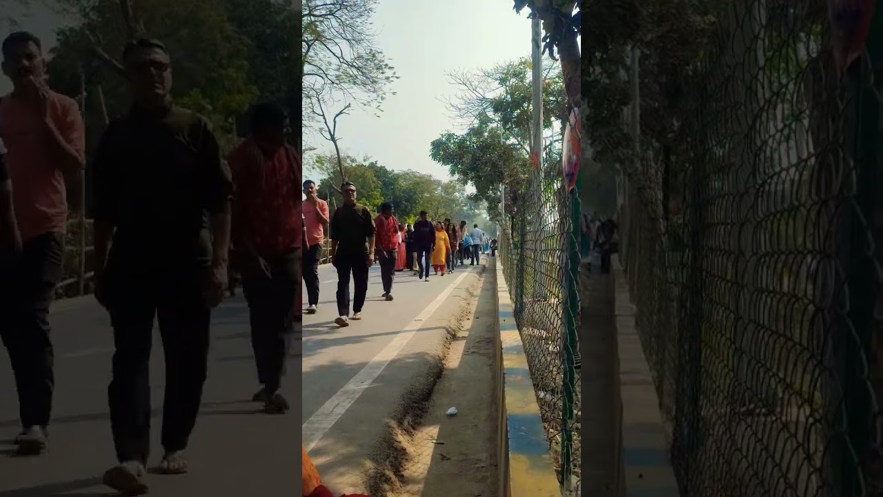 🔥 Kabootri Song - Diler Kharakiya & Jaizeey | 2024 Haryanvi Hit | New DJ Song