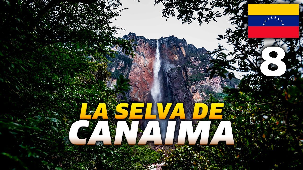 🐍CANAIMA🐍 Entro en LA SELVA MÁS PROFUNDA de VENEZUELA