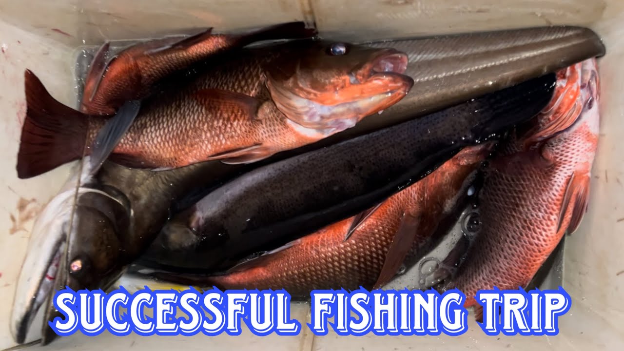 ചറ പറ അടിപൊളി🐠മീൻപിടുത്തം🎣 Raw fishing video in portrait mode #fishing #boats #kerala
