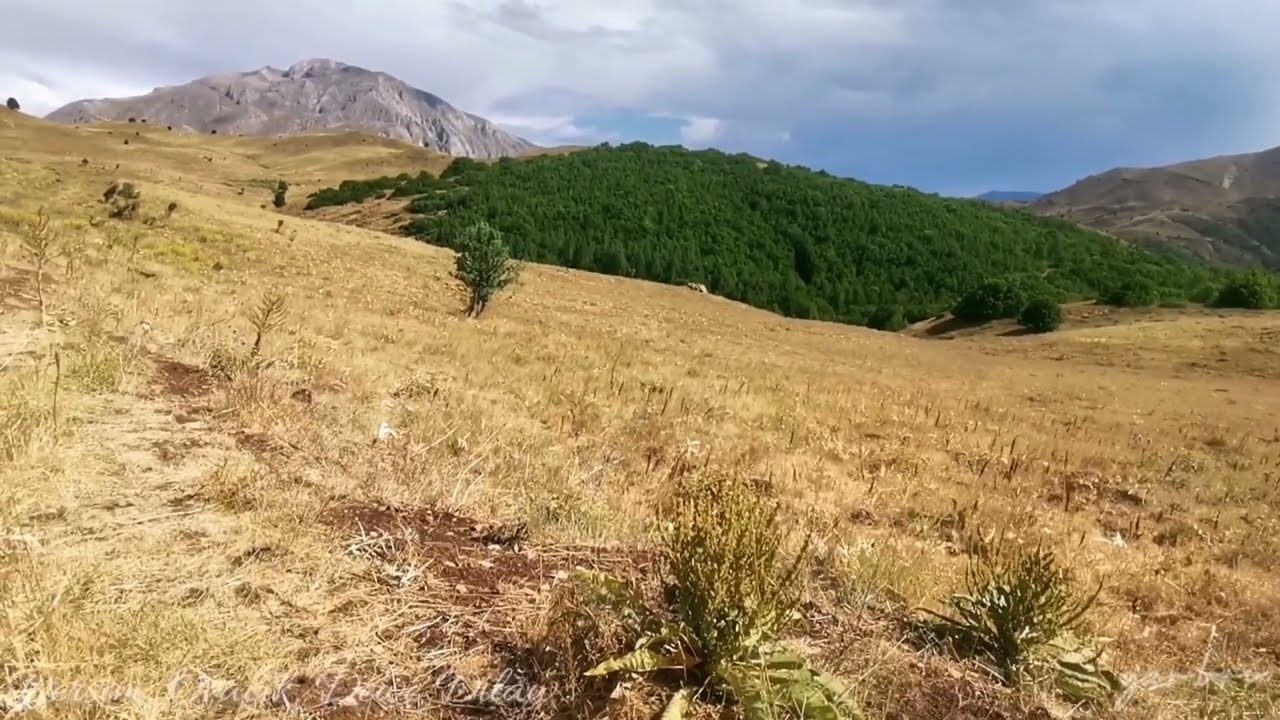 Dersim, Ovacık 'Pulur' Dewe Dılaw, Jazz 🎶 Blm (III)