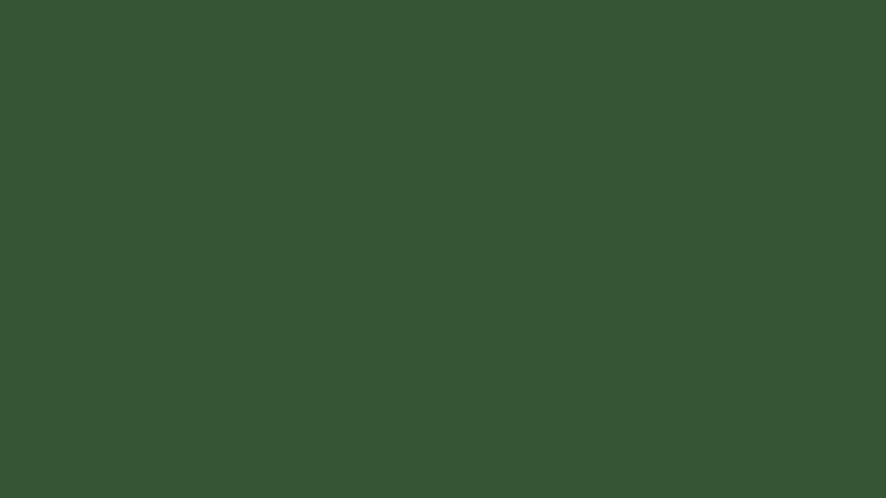 40 minute Palm Frond Green background color screen 