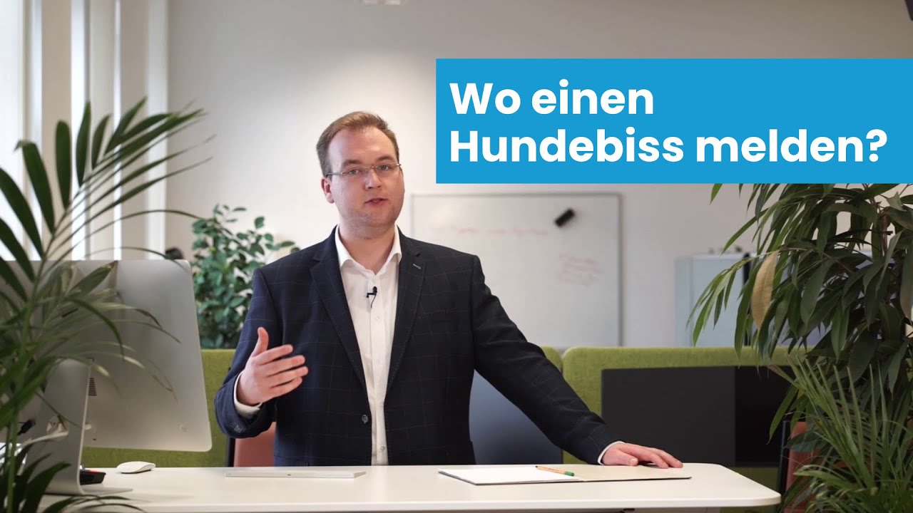 Wo einen Hundebiss melden? Polizei, Ordnungsamt, Versicherung?