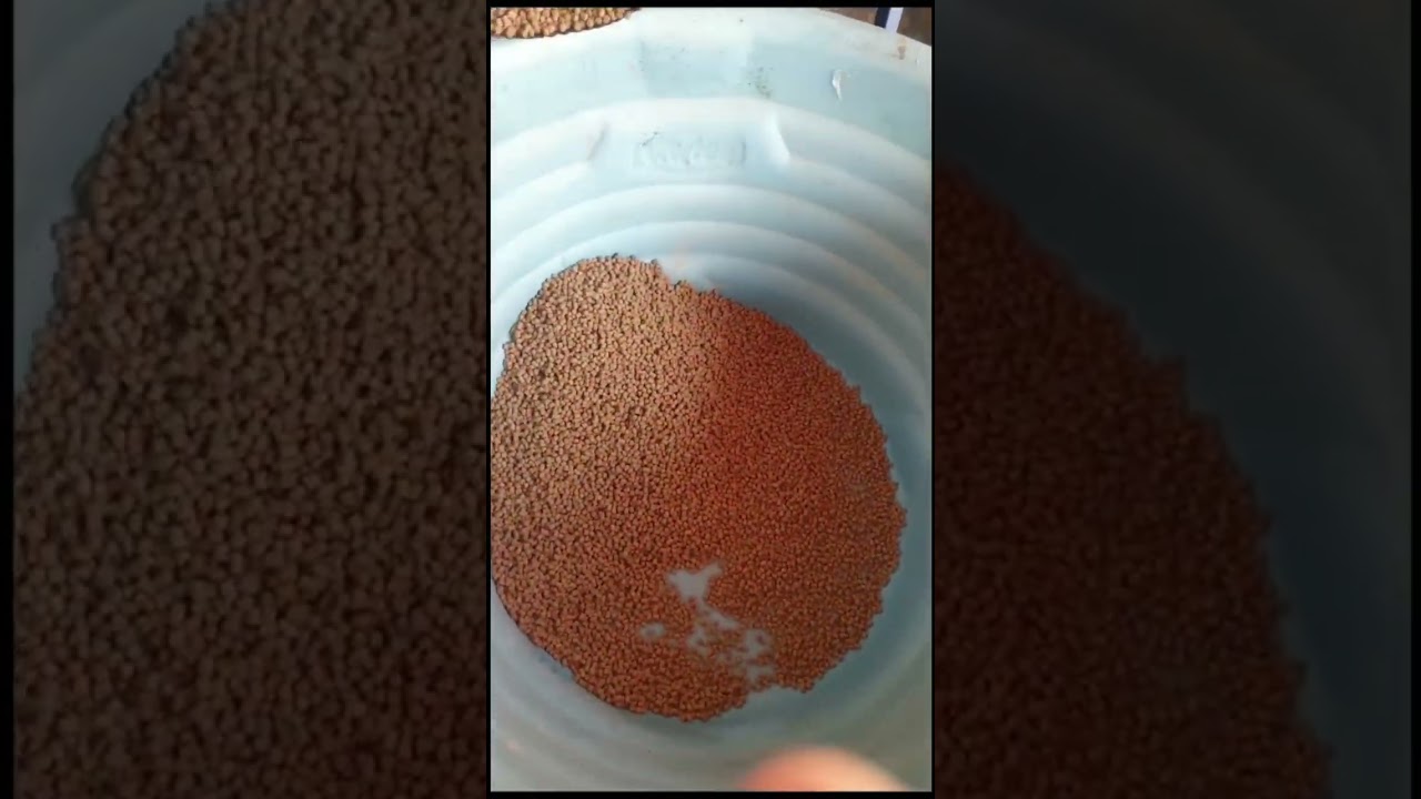 Extrusora de ração Ultra Agro