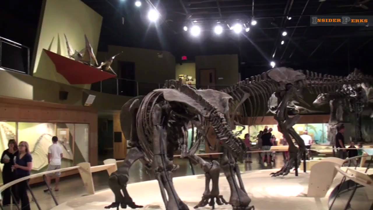 Cleveland Museum of Natural History
