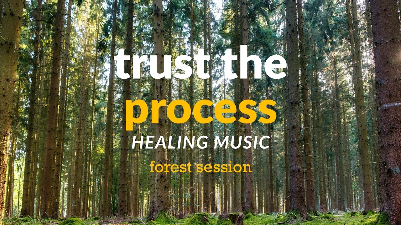 trust the process | ambient music | forest meditation session