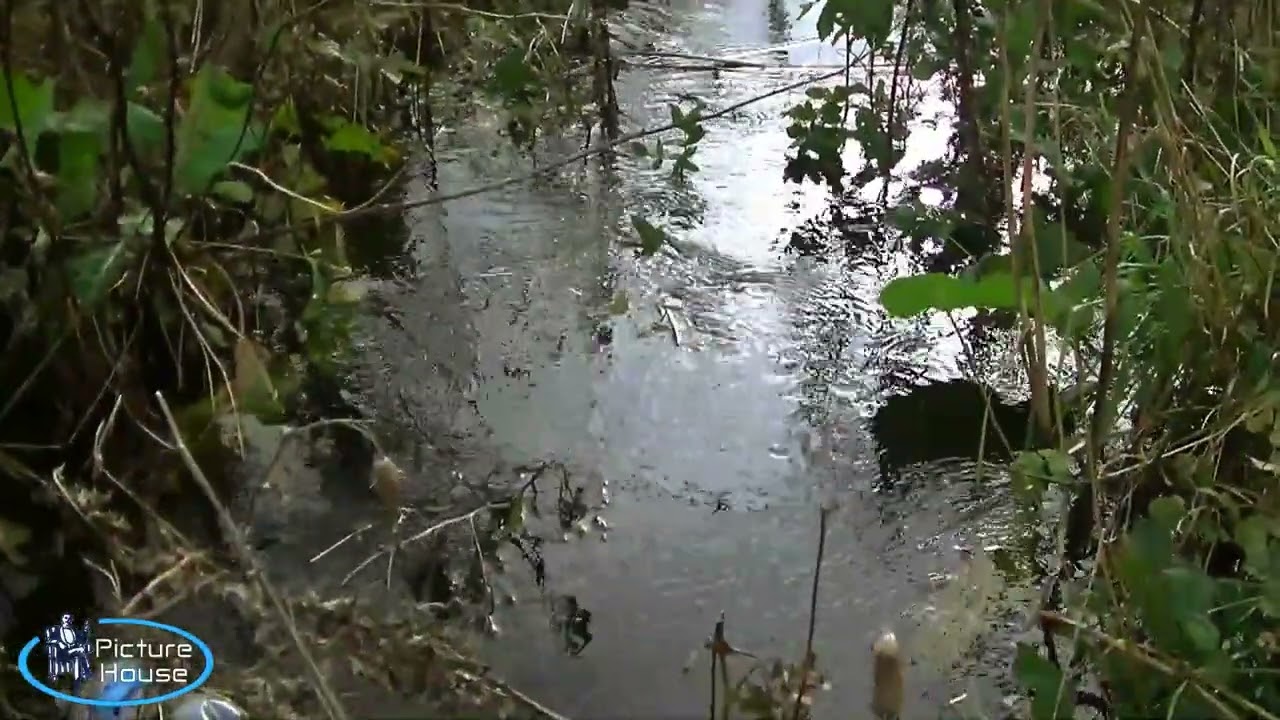Thurso River In October. 5th Oct 2025