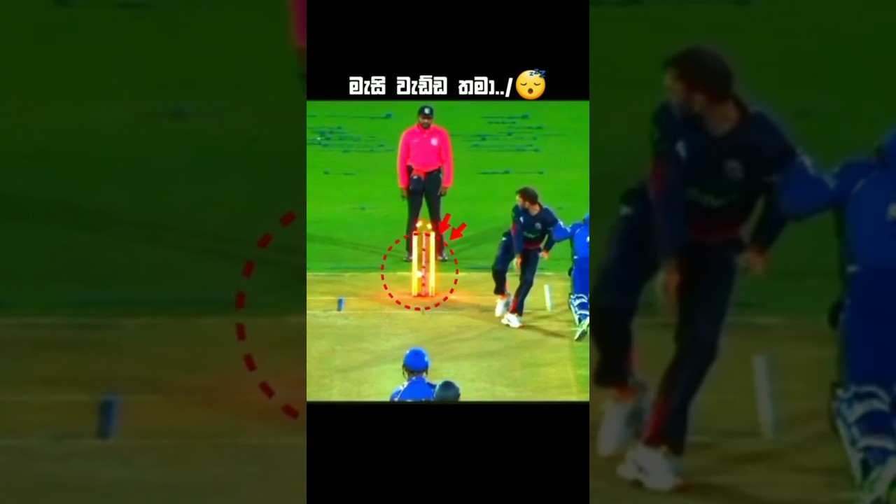 මැසි වැඩ්ඩ තමා../#worldcup#icc#trend#yosho#viral#slcricket#indiacricket