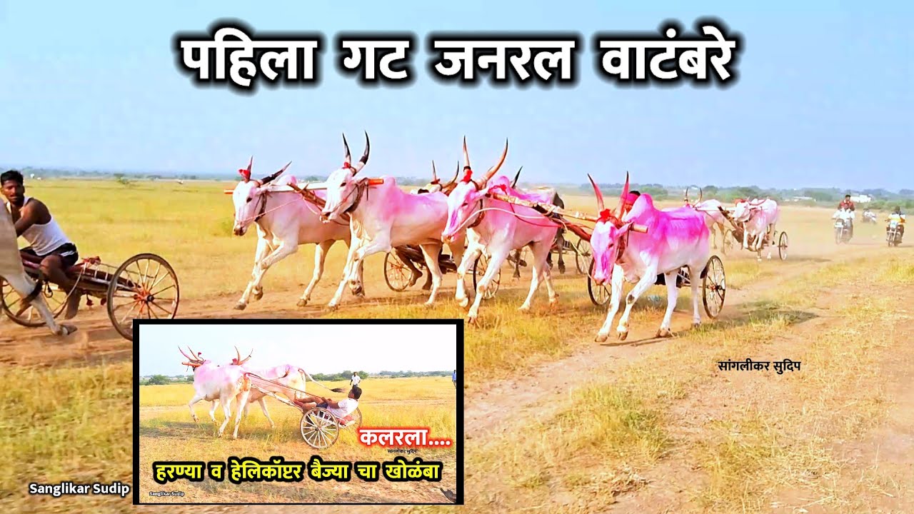 रांगडा खेळ मातीतला | watambre पहिला सुटलेला जनरल गट | संपूर्ण पट्टा | हरन्या व बैज्याचा खोळंबा