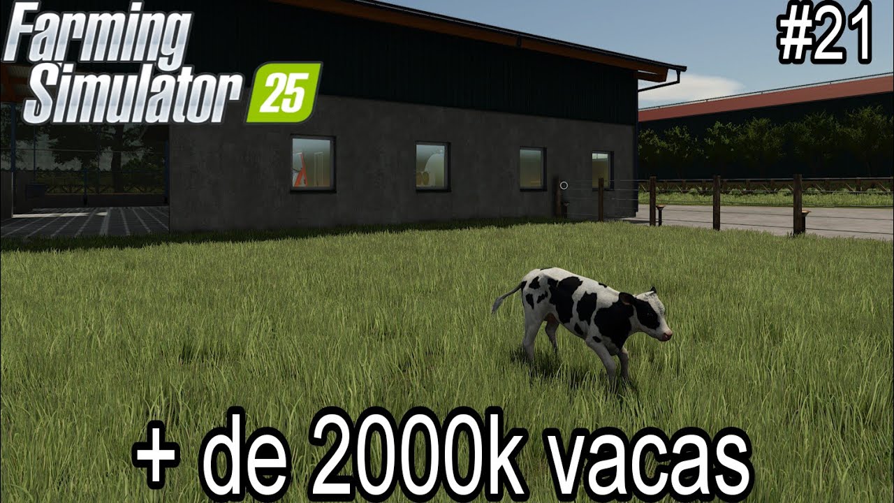 FS 25 