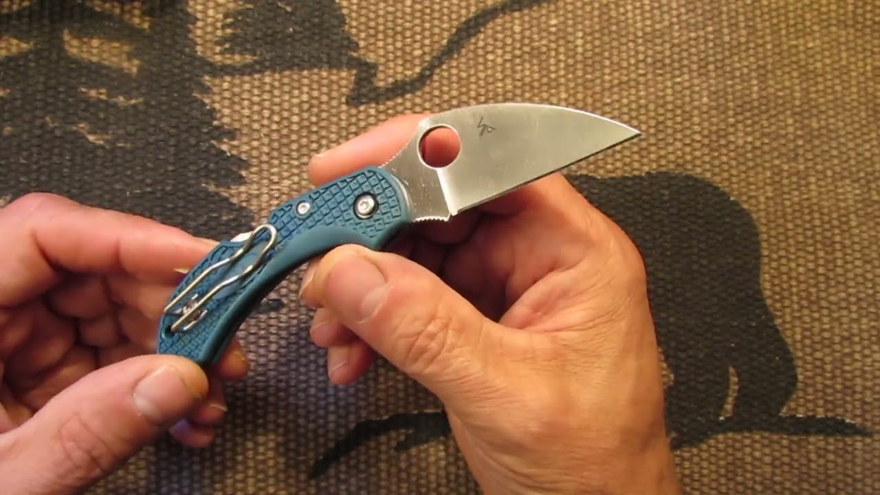 Spyderco Dragonfly 2 Wharncliffe K390 steel