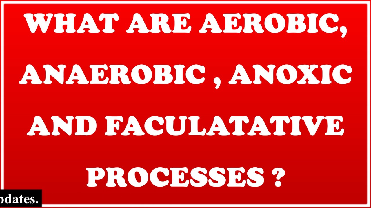 Aerobic, Anaerobic, Anoxic & Facultative processes