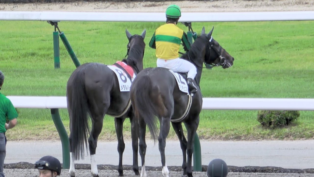 【優しい世界】スタート直後に躓いて落馬 のんびり走って来て坂井瑠星や秋山稔樹に見守れながら確保される【落馬】【放馬】 現地映像 ⑧メタルハート