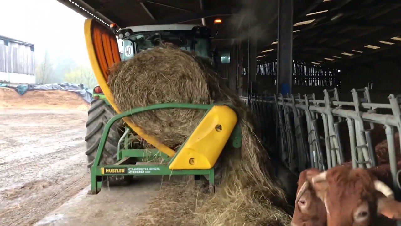 Matinée à la Ferme