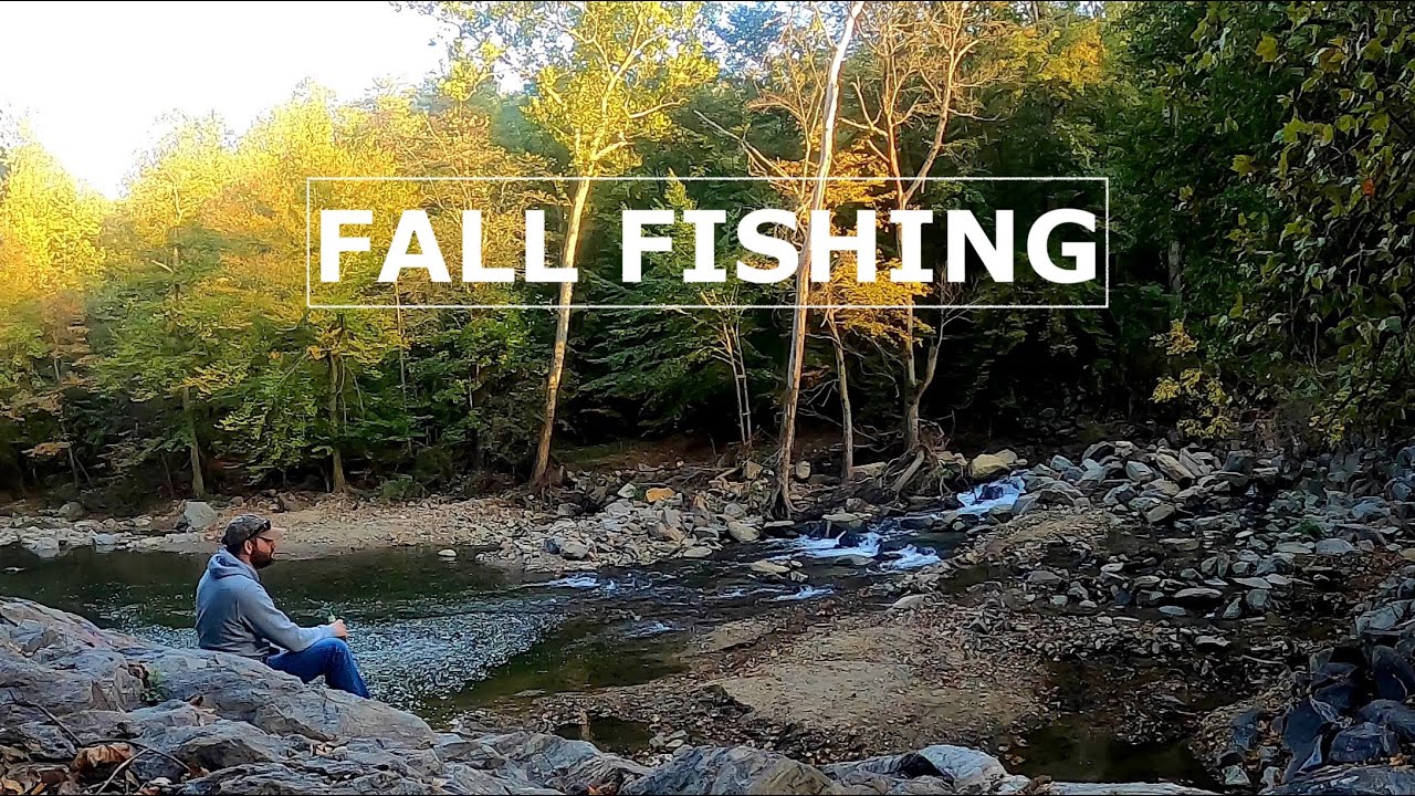 Fall Creek Fishing : Keitech Easy Shiner & Yuengling Lord Chesterfield Ale Review
