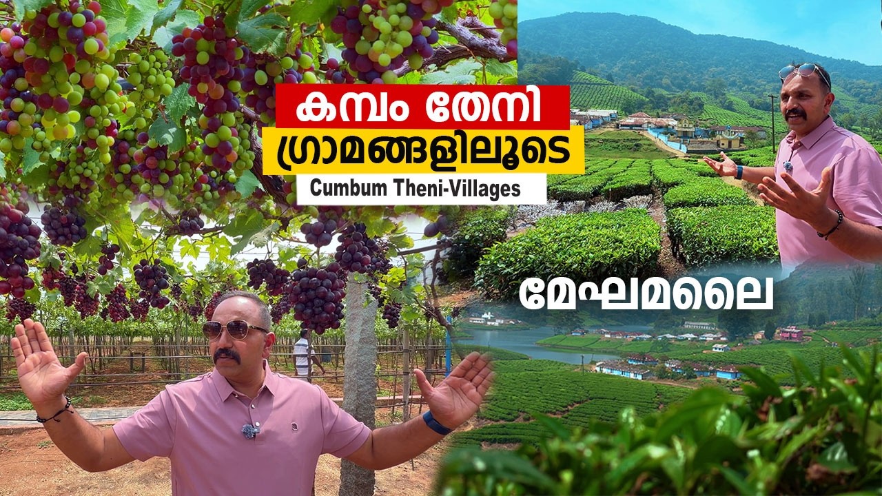 കമ്പം തേനി വഴി മേഘമലയിലേക്ക്   | Cumbum Theni and Tamilnadu Village Attractions