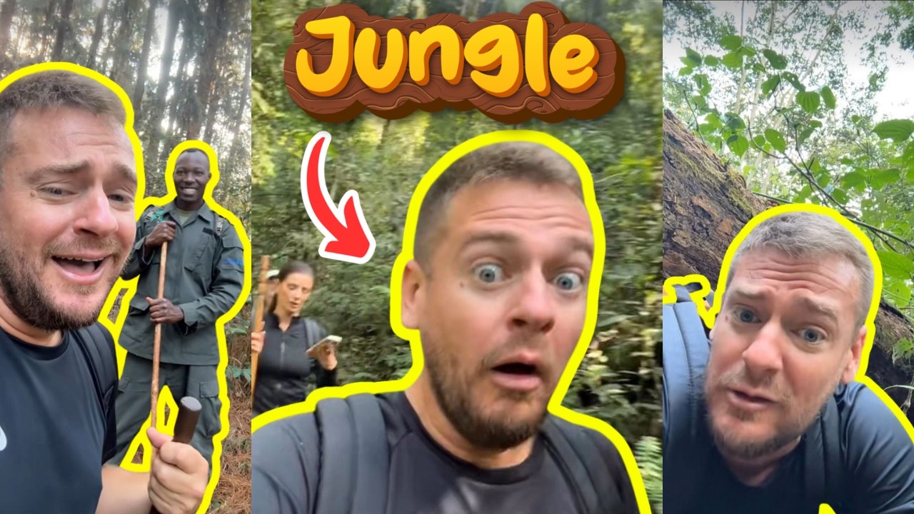JEREMSTAR A LA RECHERCHE DES CHIMPANZÉS DANS LA JUNGLE