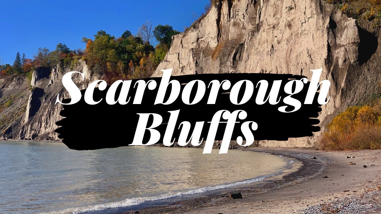 Scarborough Bluffs| Exploring 90 Meters of Cliff| Toronto Best Kept Secret| Fall Hike!