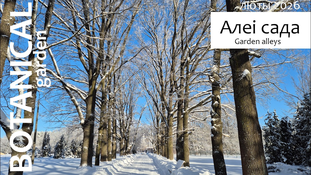 Алеі батанічнага сада / Garden alleys