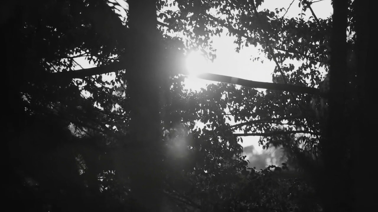 Anathema - Forgotten Hopes (Türkçe Altyazı)